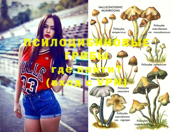 таблы Арсеньев
