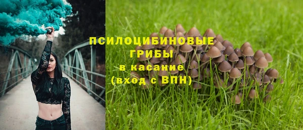 таблы Арсеньев